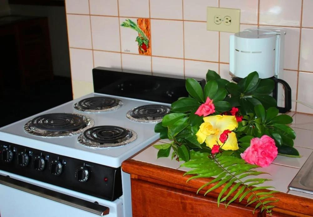 Hotel Ecological Inn San Jose  Luaran gambar
