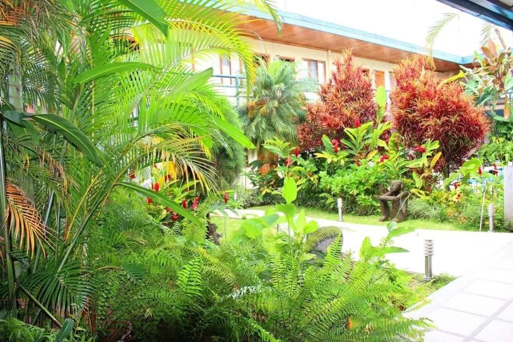 Hotel Ecological Inn San Jose  Luaran gambar