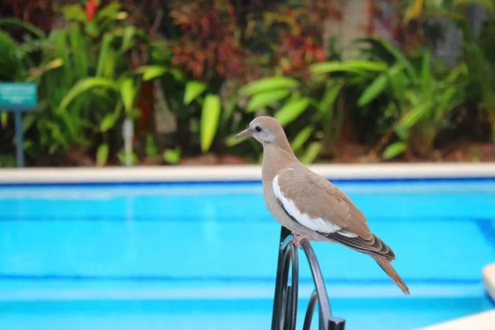 Hotel Ecological Inn San Jose  Luaran gambar