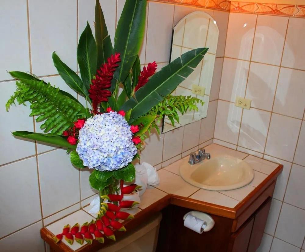 Hotel Ecological Inn San Jose  Luaran gambar