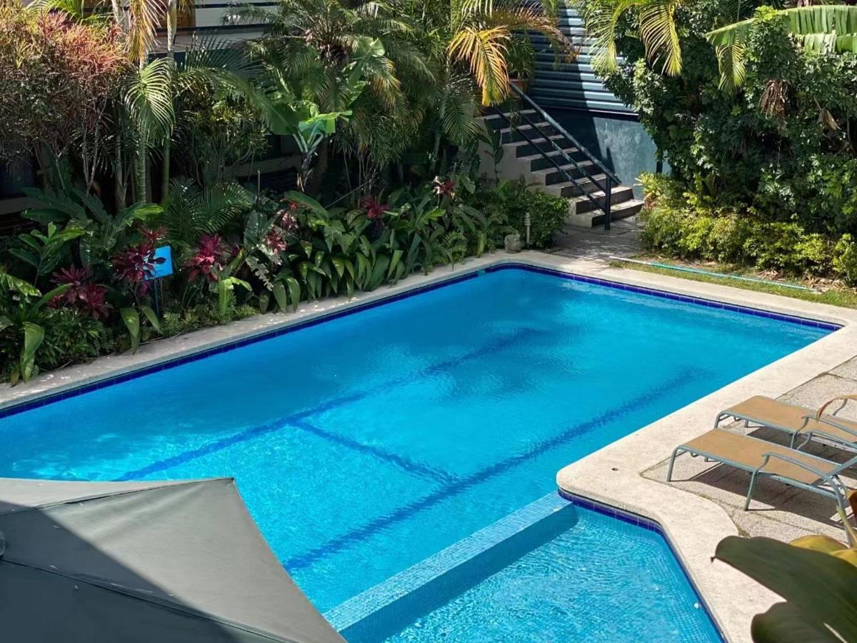 Hotel Ecological Inn San Jose  Luaran gambar