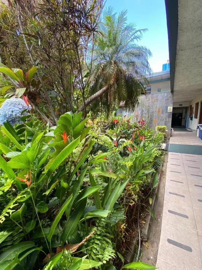 Hotel Ecological Inn San Jose  Luaran gambar